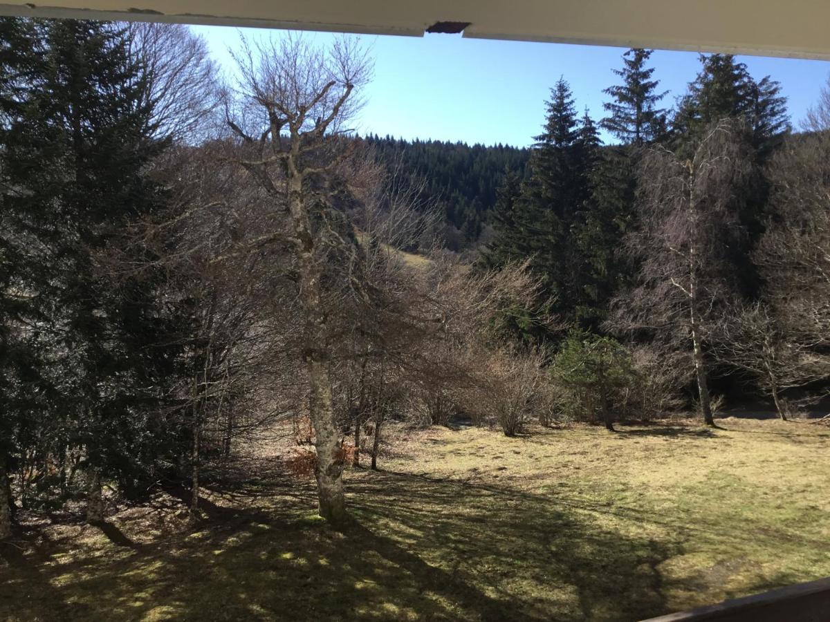 Lo Vedelier D'Aubrac Διαμέρισμα Laguiole Εξωτερικό φωτογραφία