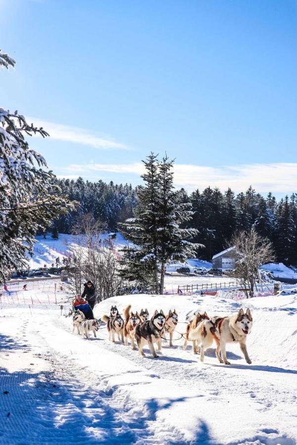 Lo Vedelier D'Aubrac Διαμέρισμα Laguiole Εξωτερικό φωτογραφία