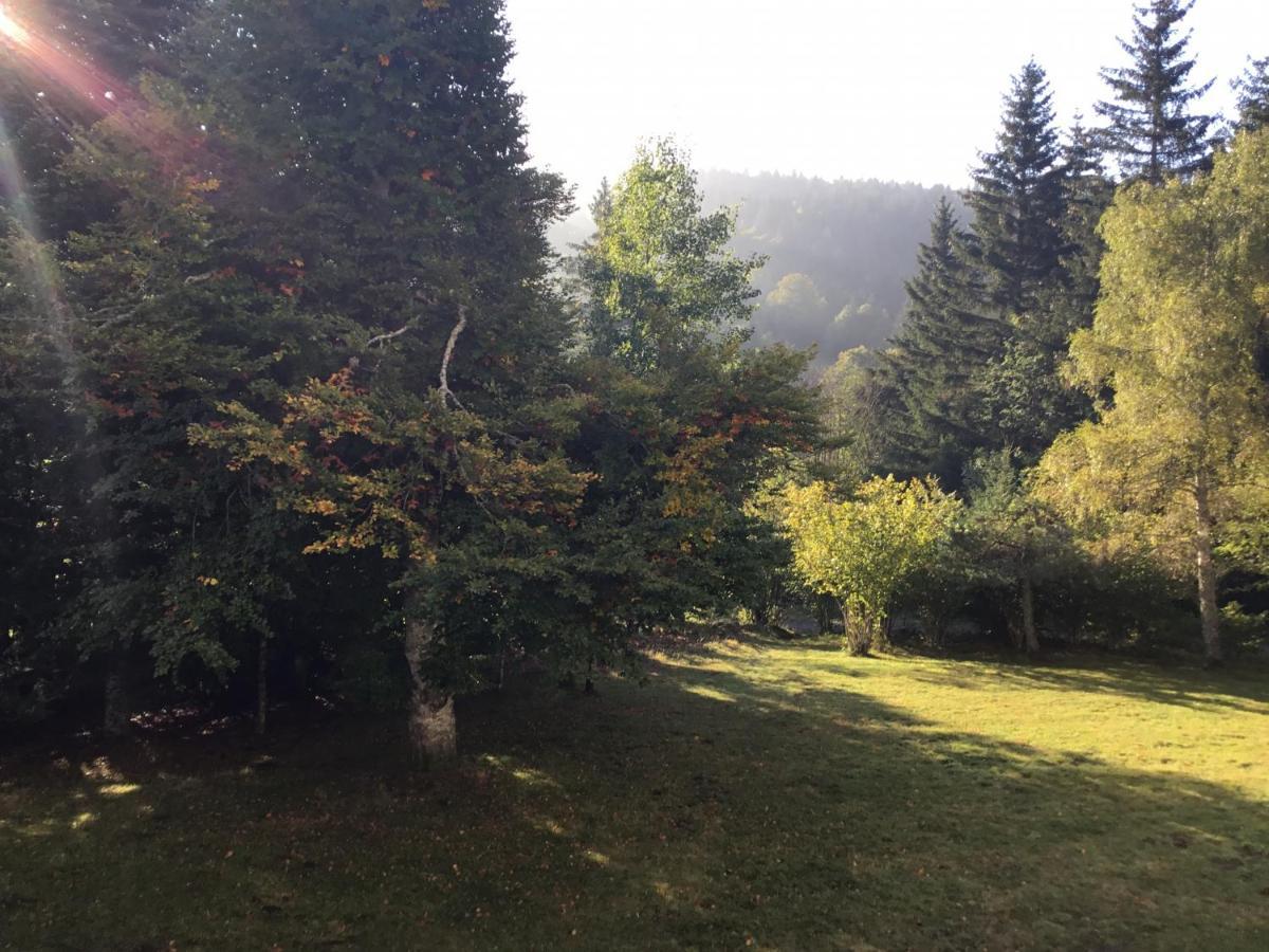 Lo Vedelier D'Aubrac Διαμέρισμα Laguiole Εξωτερικό φωτογραφία