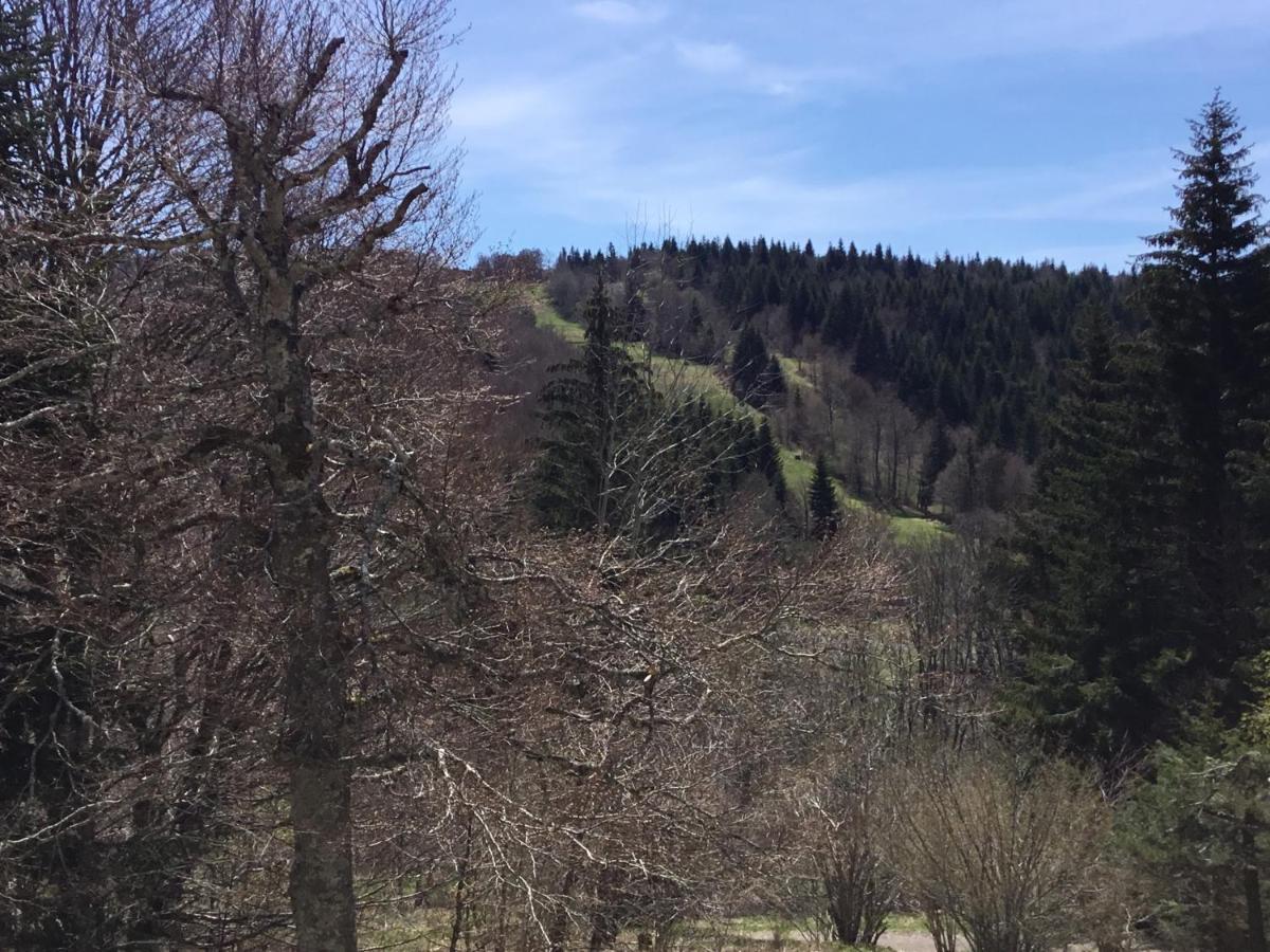 Lo Vedelier D'Aubrac Διαμέρισμα Laguiole Εξωτερικό φωτογραφία