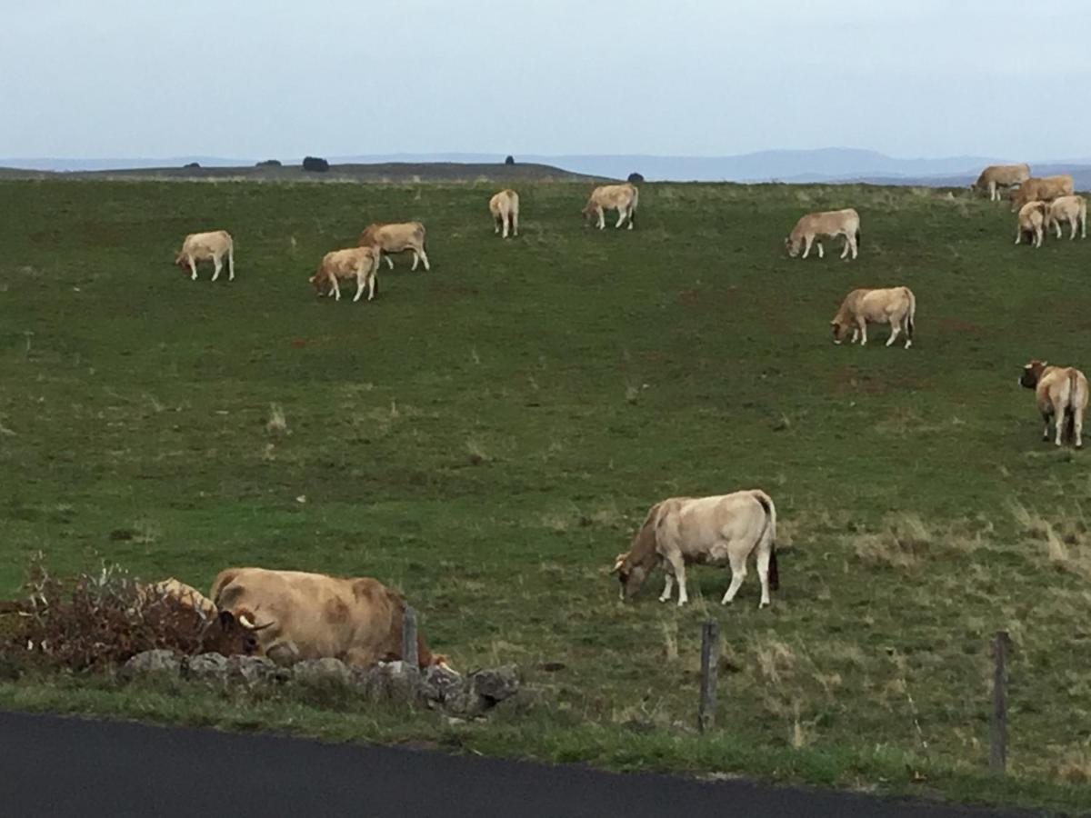 Lo Vedelier D'Aubrac Διαμέρισμα Laguiole Εξωτερικό φωτογραφία
